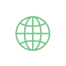 Icon international